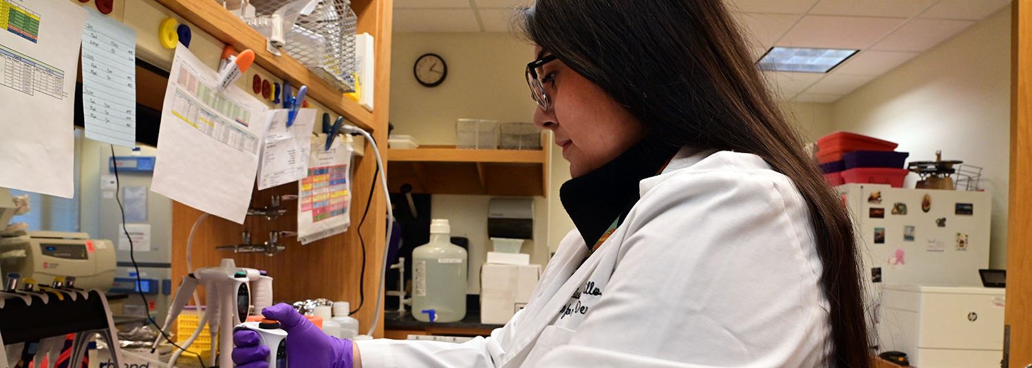 Researcher pipetting