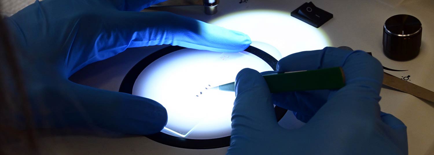 Gloved hand with forceps and microscope slide