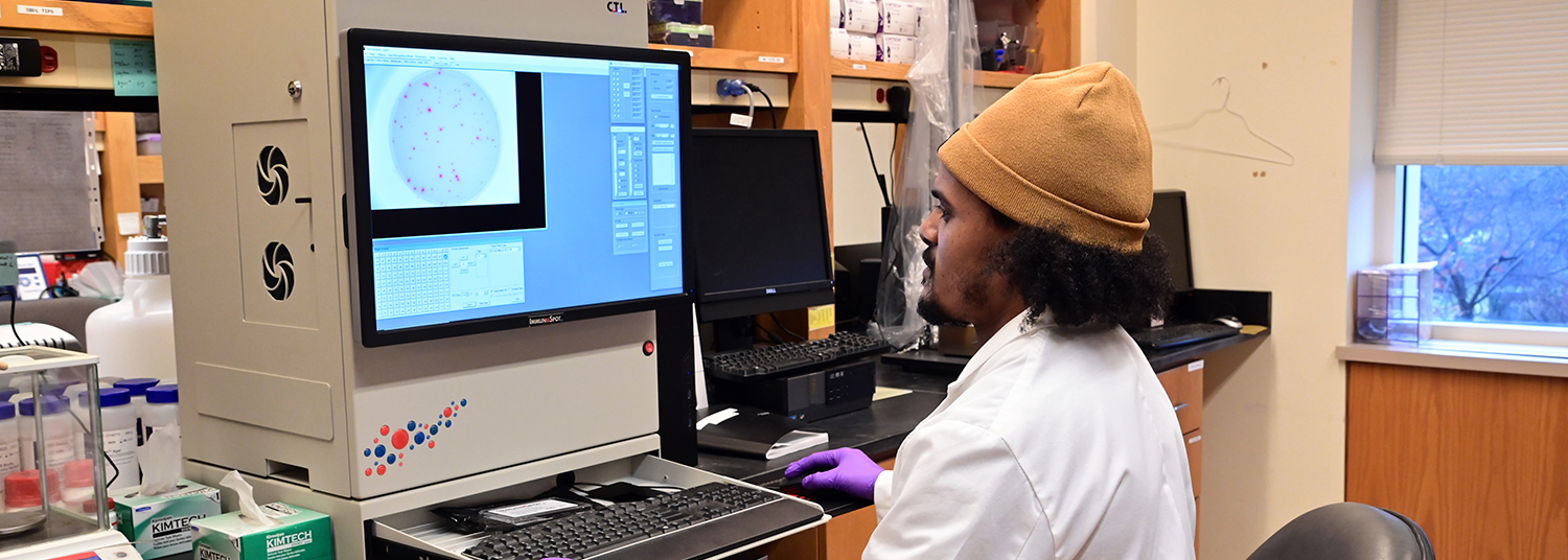 Person looking at images on computer screen