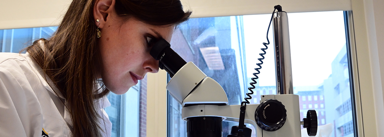 Person looking into a microscope