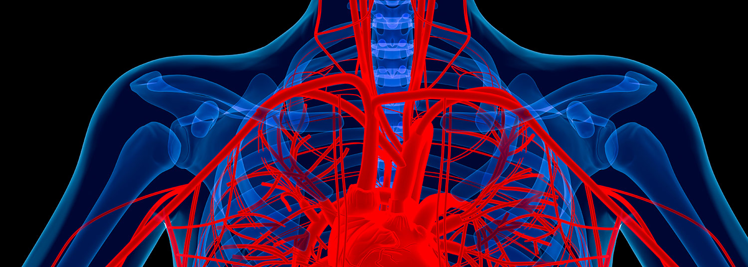 Vascular Research Banner02