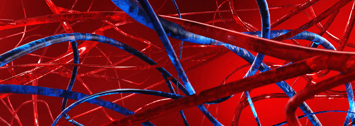 Vascular Research Banner05